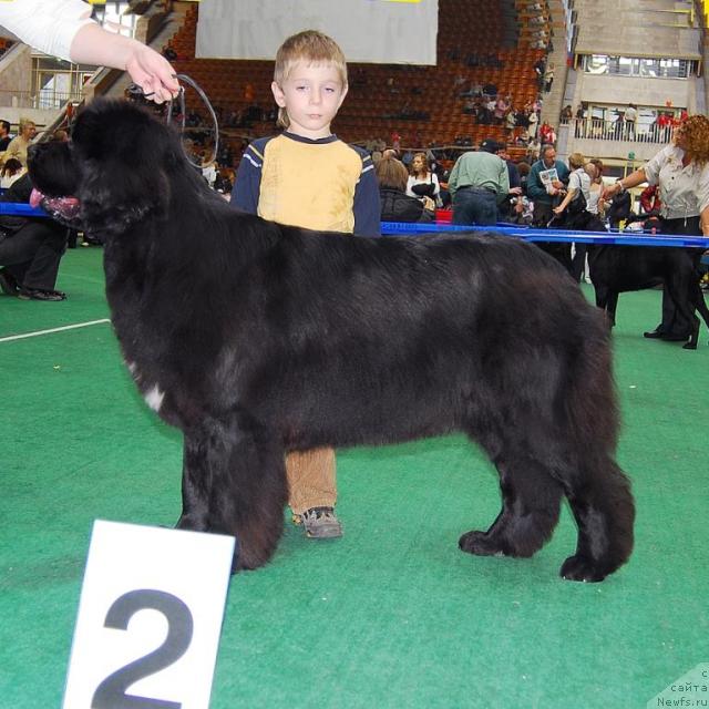 Фотография № 18508