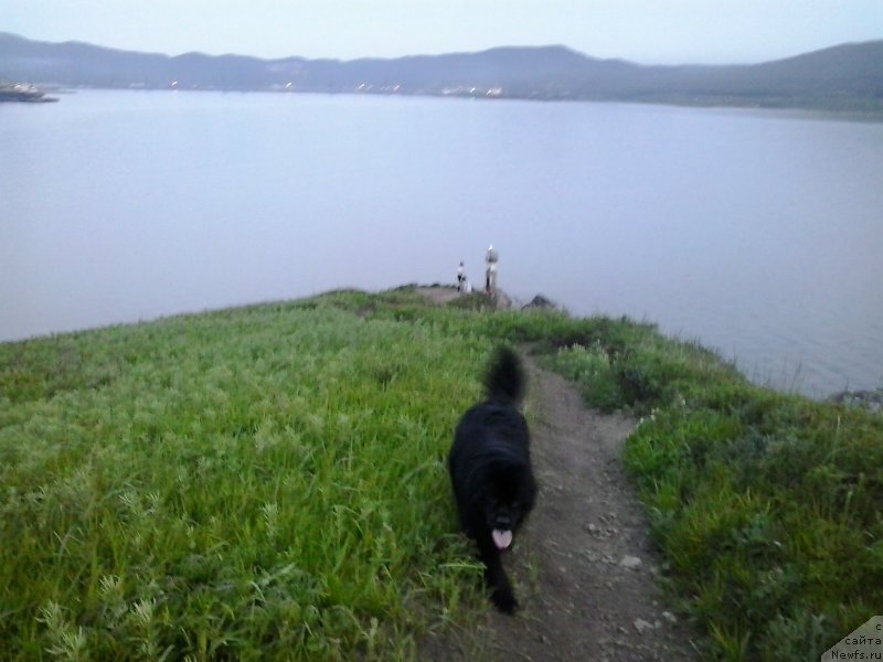 Фотография № 185087