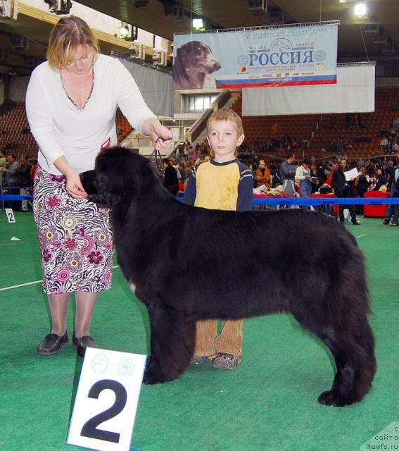 Фотография № 18509