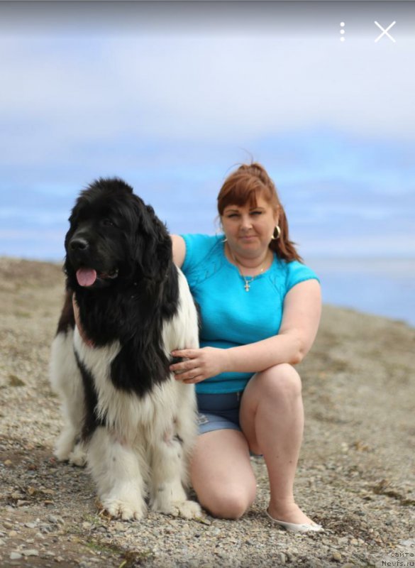 Фотография № 185097