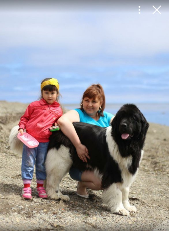 Фотография № 185098