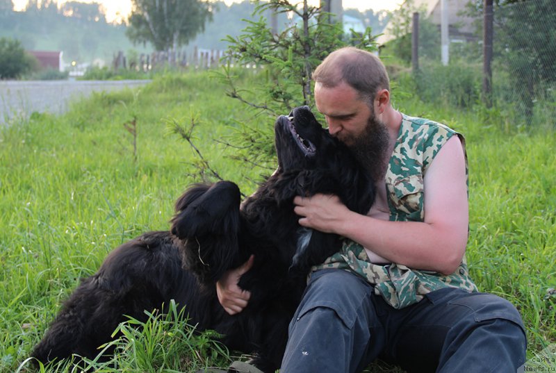 Фотография № 185101