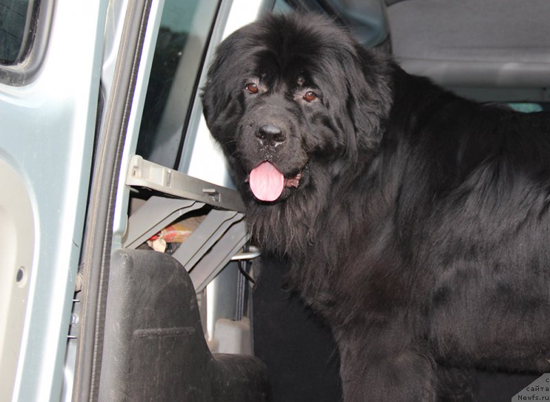 Фотография № 185103