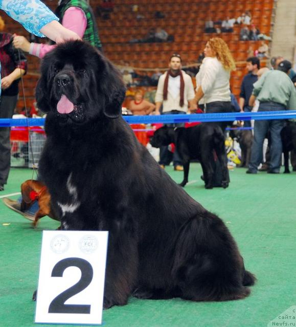 Фотография № 18511