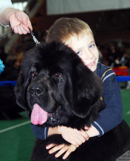 Фотография № 18512