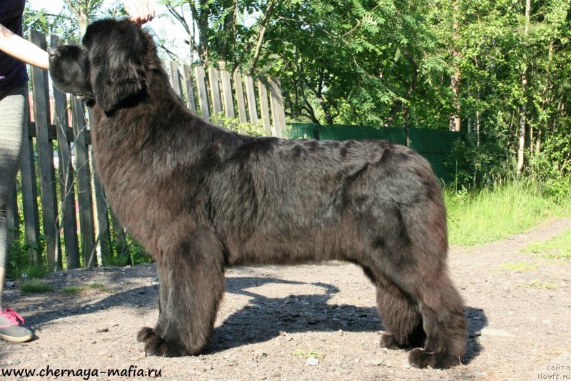 Фотография № 185136