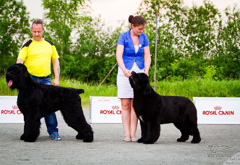 Фотография № 185139