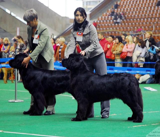 Фотография № 18514