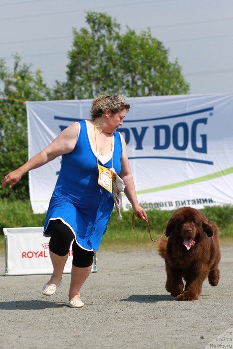 Фотография № 185141