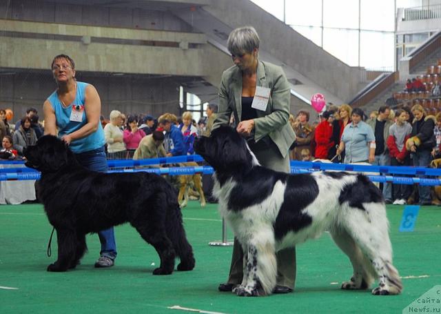 Фотография № 18515