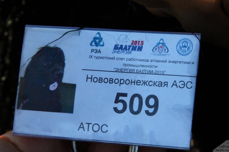 Фотография № 185168