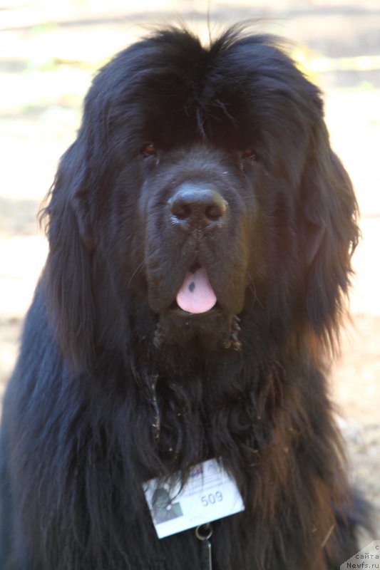 Фотография № 185169