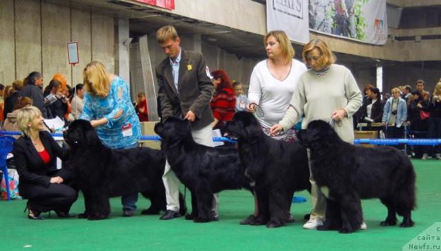 Фотография № 18517