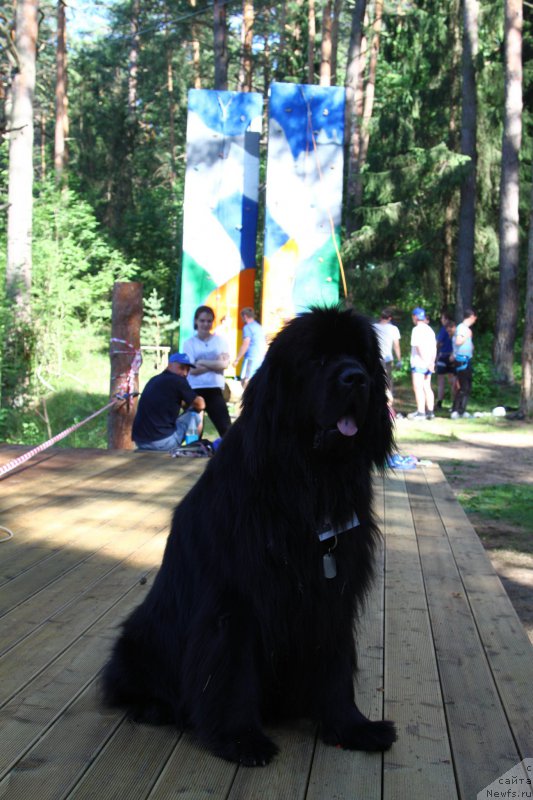 Фотография № 185171