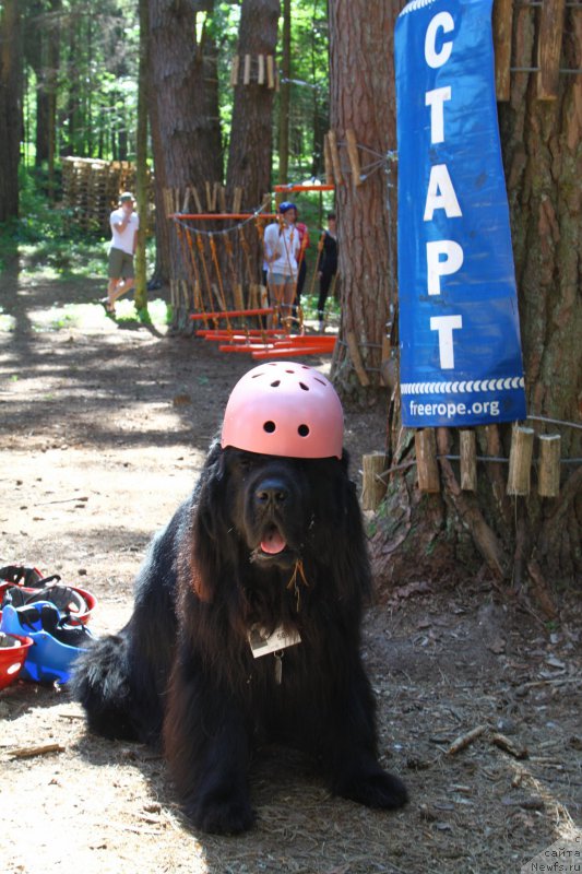 Фотография № 185172