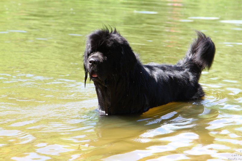 Фотография № 185181