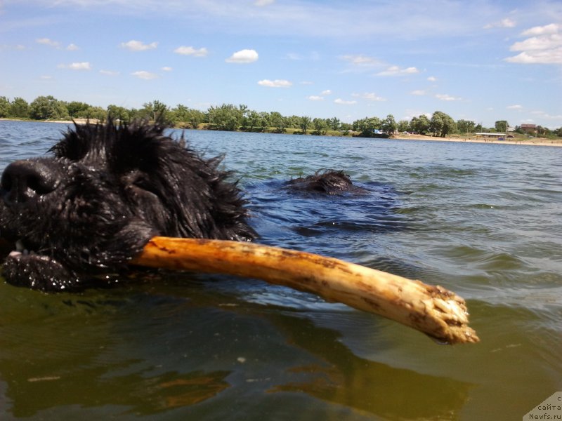 Фотография № 185184