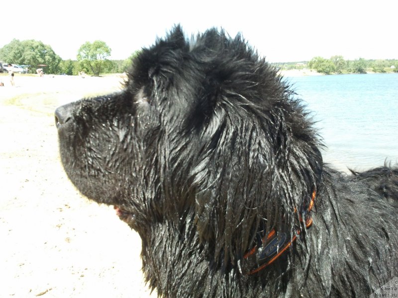 Фотография № 185185