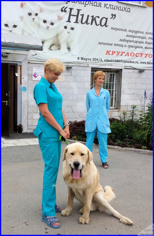 Фотография № 185213