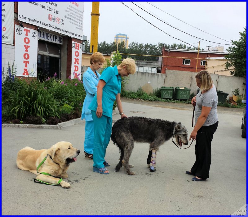 Фотография № 185216