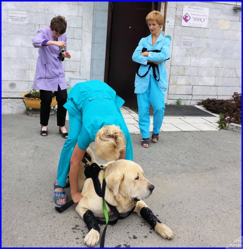 Фотография № 185219