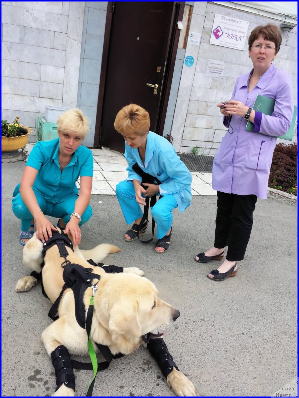 Фотография № 185220