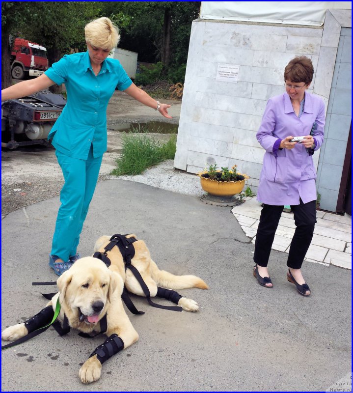 Фотография № 185221