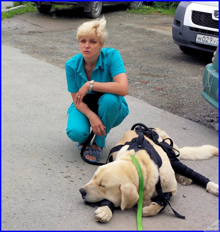 Фотография № 185223