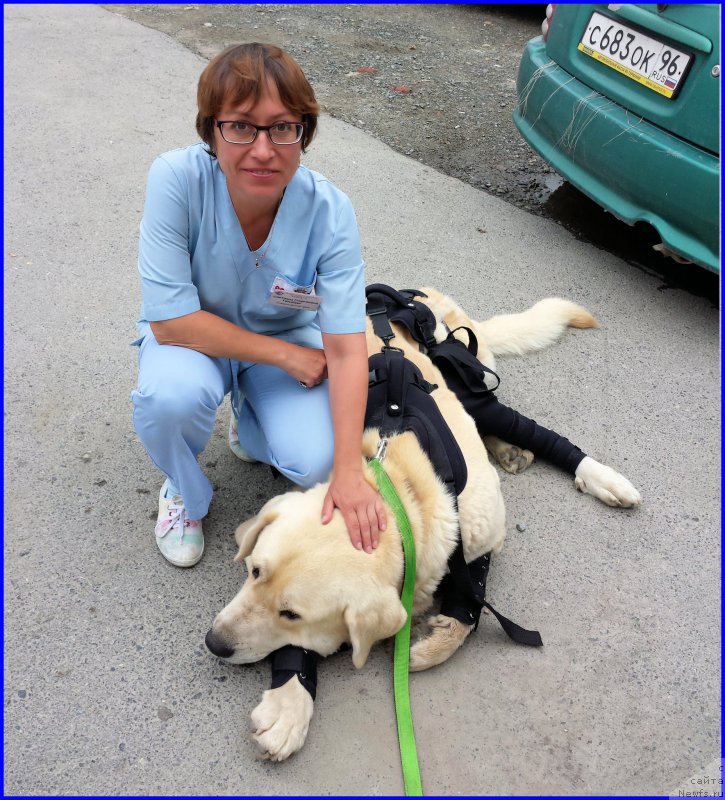 Фотография № 185224