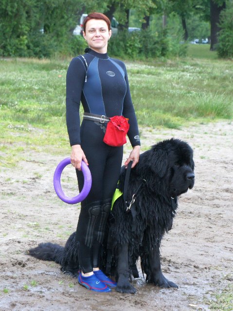 Фотография № 185240