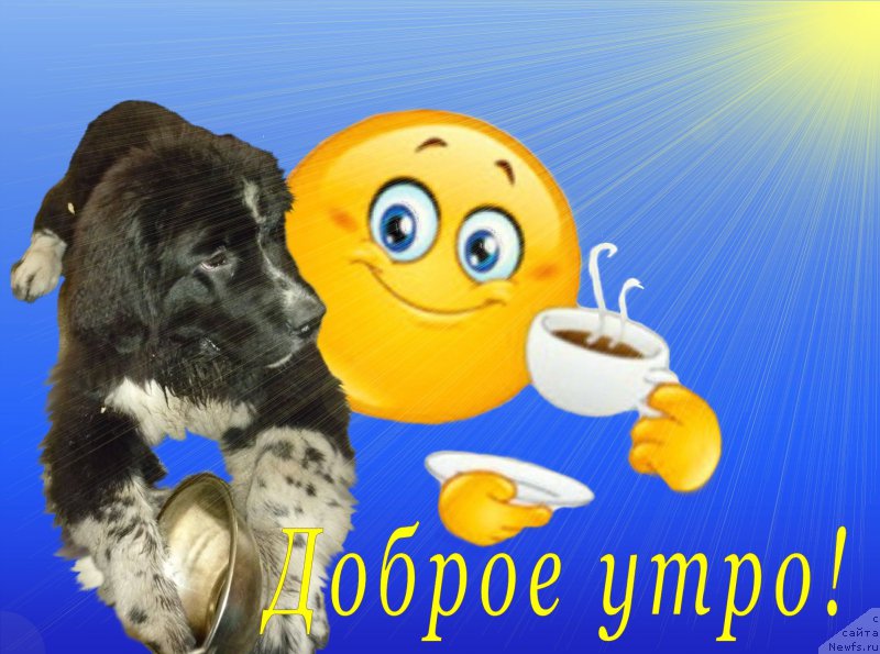 Фотография № 185318