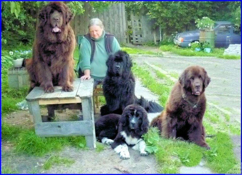 Фотография № 185329