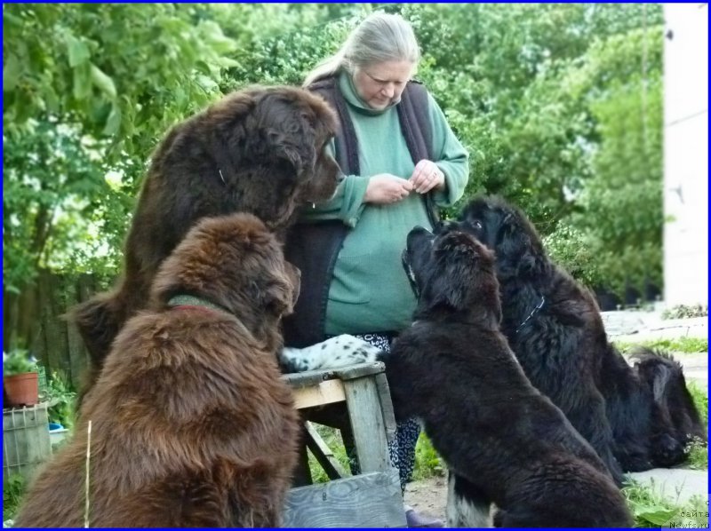 Фотография № 185332