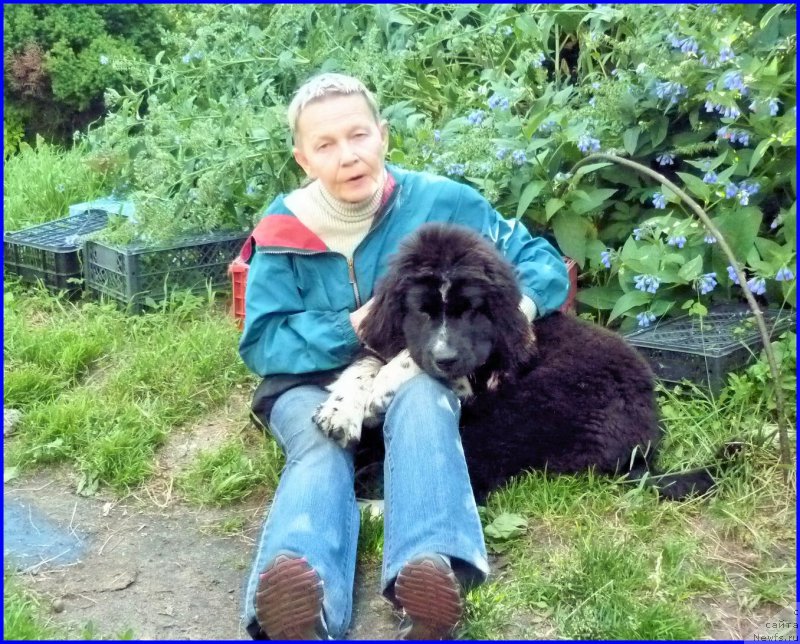 Фото: Ольга Есина, АКВАТОРИЯ КЕЛЬВИН ДОМИНО