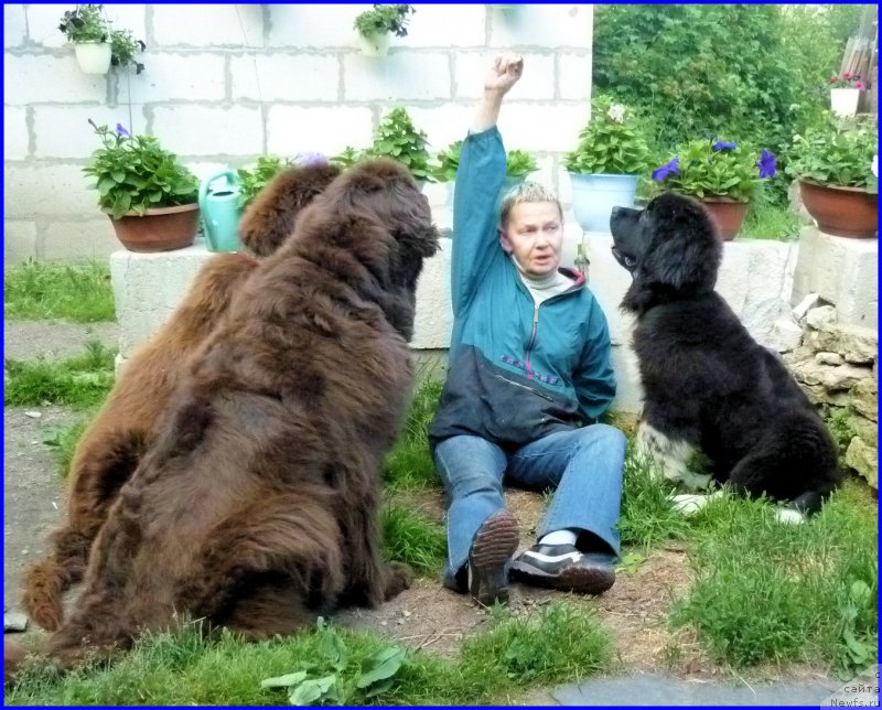 Фотография № 185334