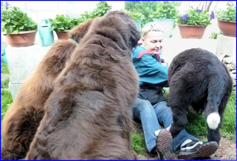 Фотография № 185336