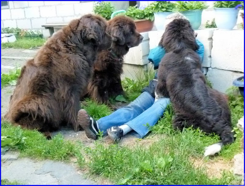 Фотография № 185337