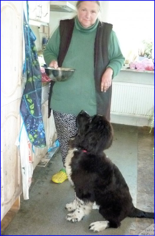 Фотография № 185341