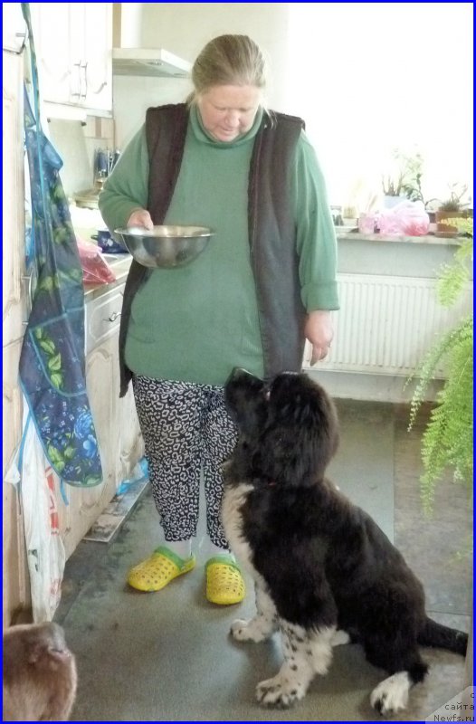 Фотография № 185342