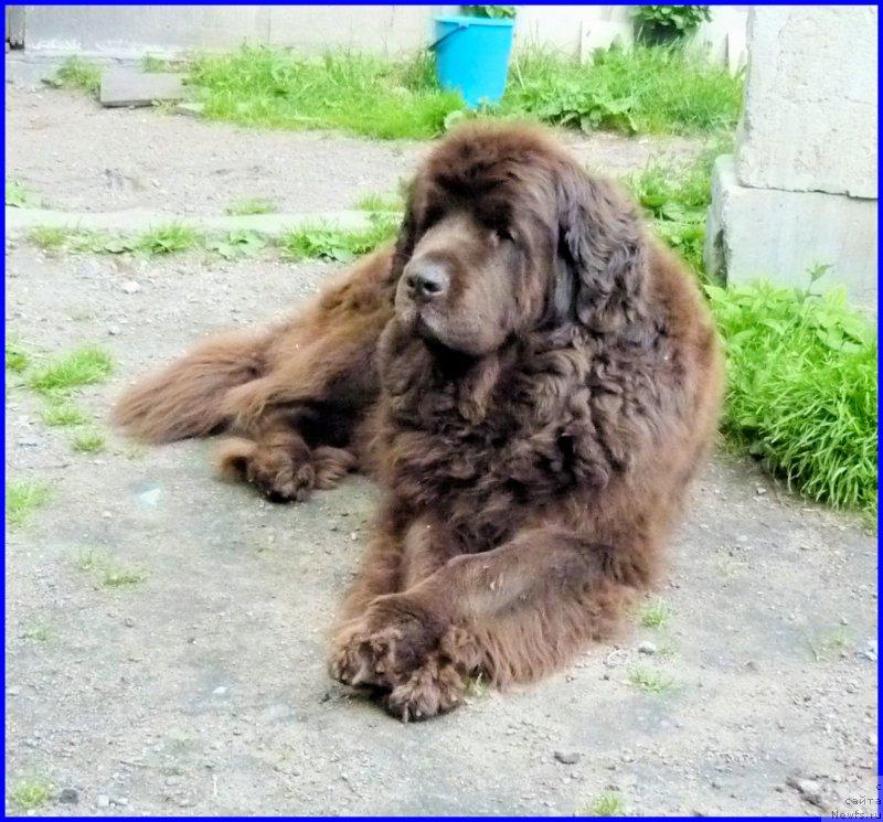 Фотография № 185346