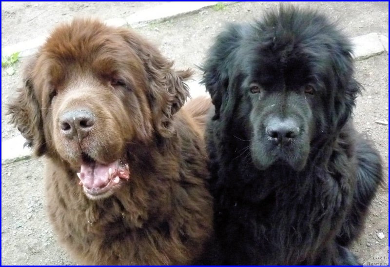 Фотография № 185347