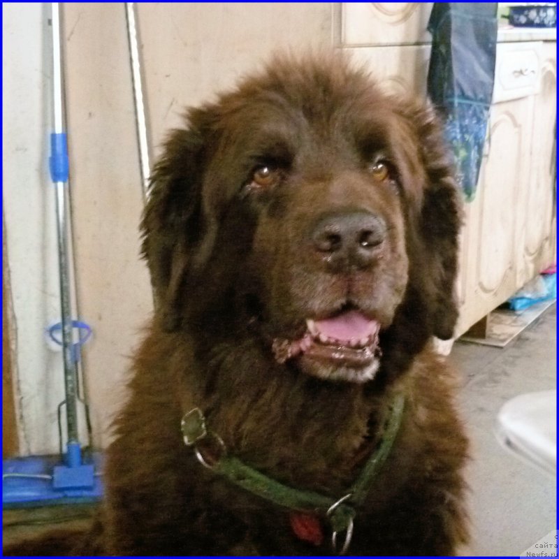 Фотография № 185355