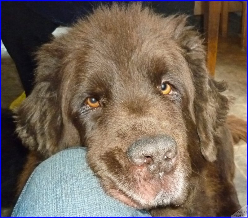 Фотография № 185356