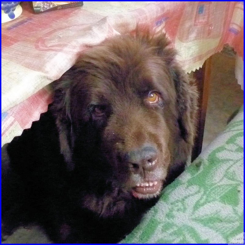 Фотография № 185357