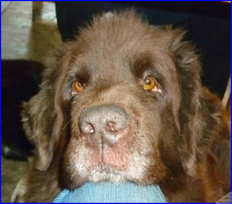 Фотография № 185358