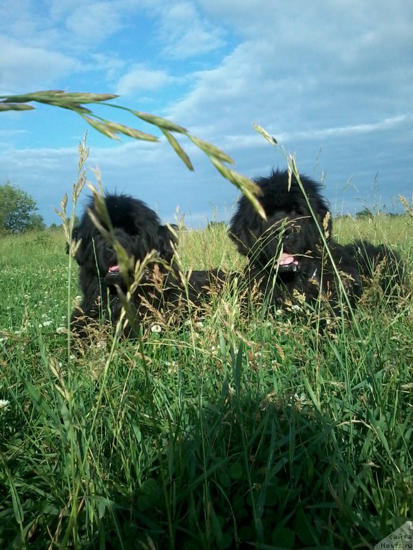 Фотография № 185372