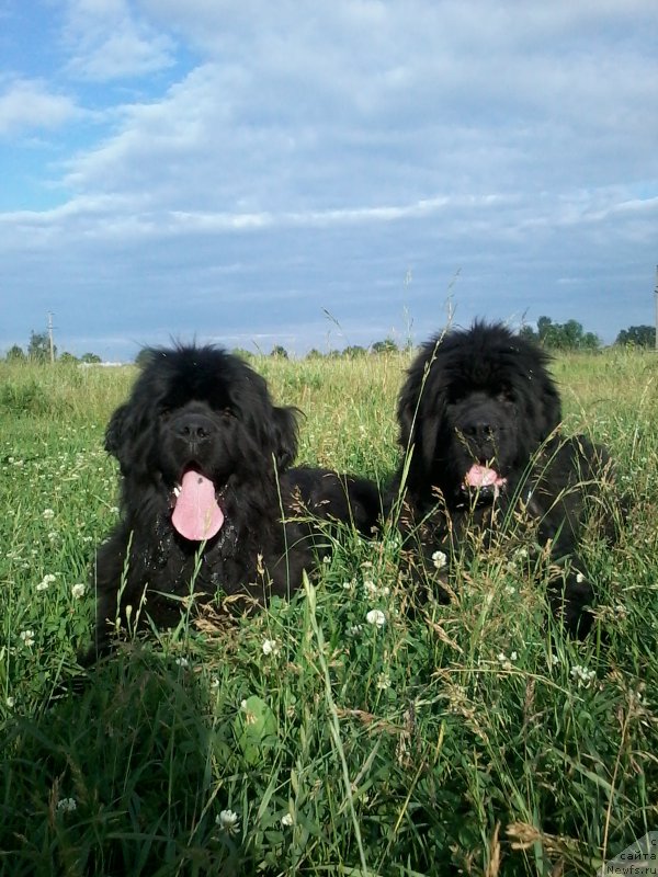 Фотография № 185373