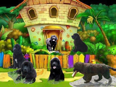 Фотография № 185393