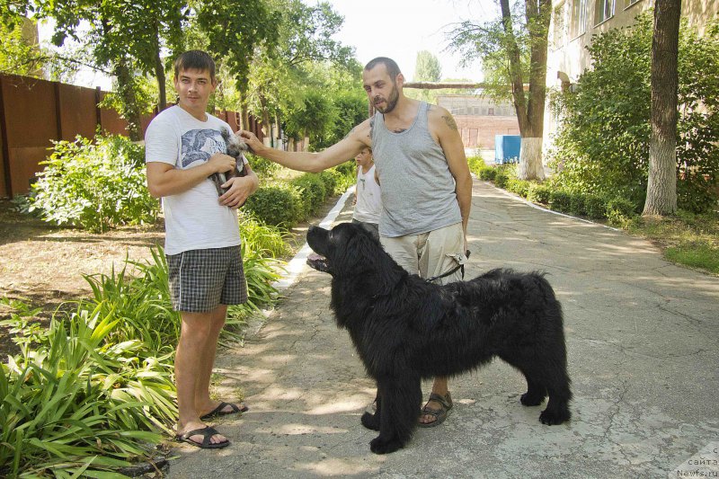 Фотография № 185477