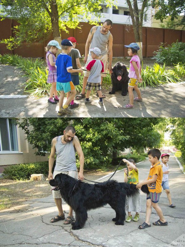 Фотография № 185480